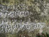 image of grave number 144716